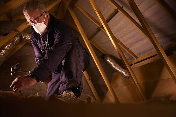 Best Geographic-Specific Insulation Services in Sunnyslope, WA